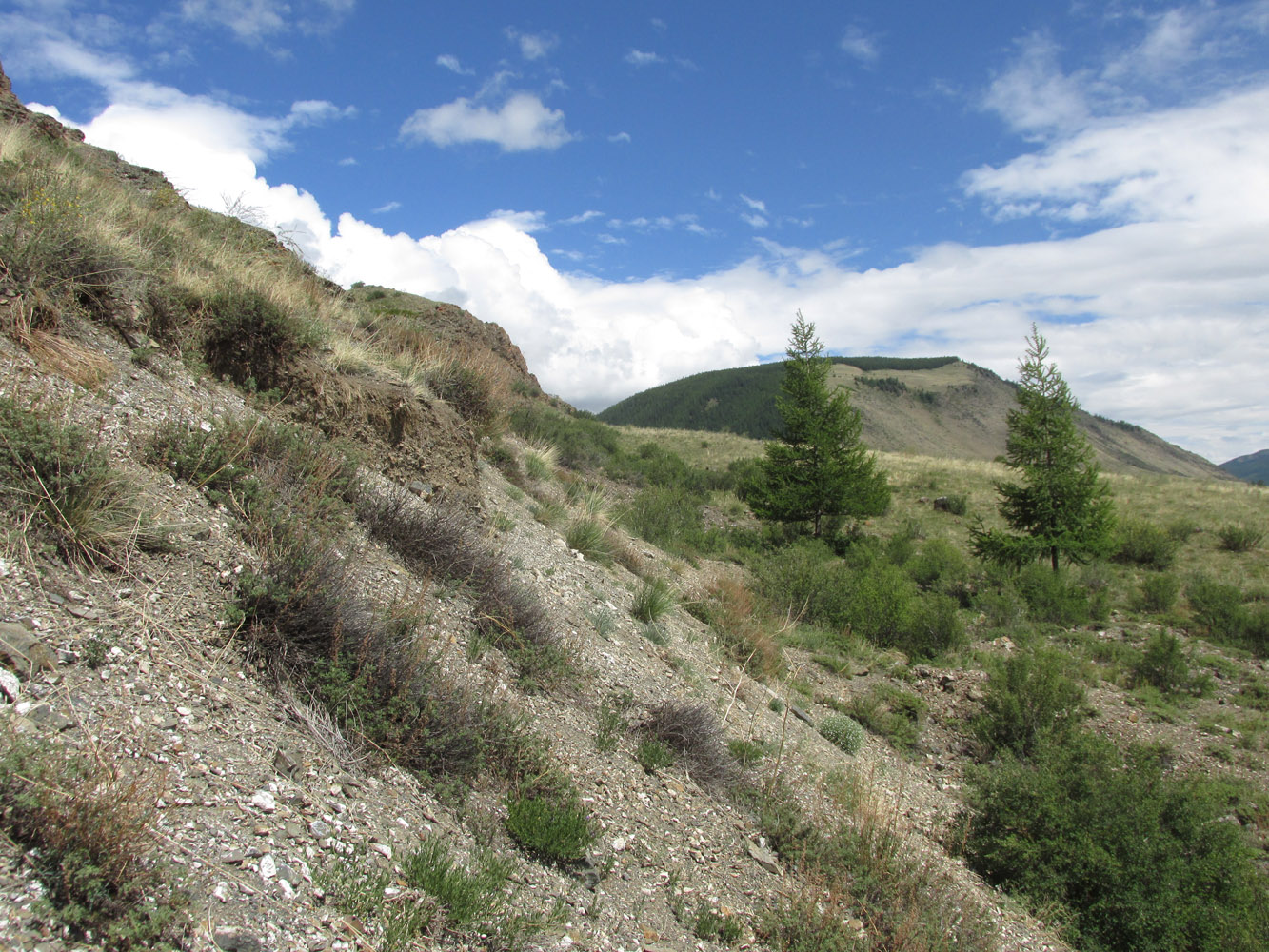Устье реки Тыдтугем, image of landscape/habitat.