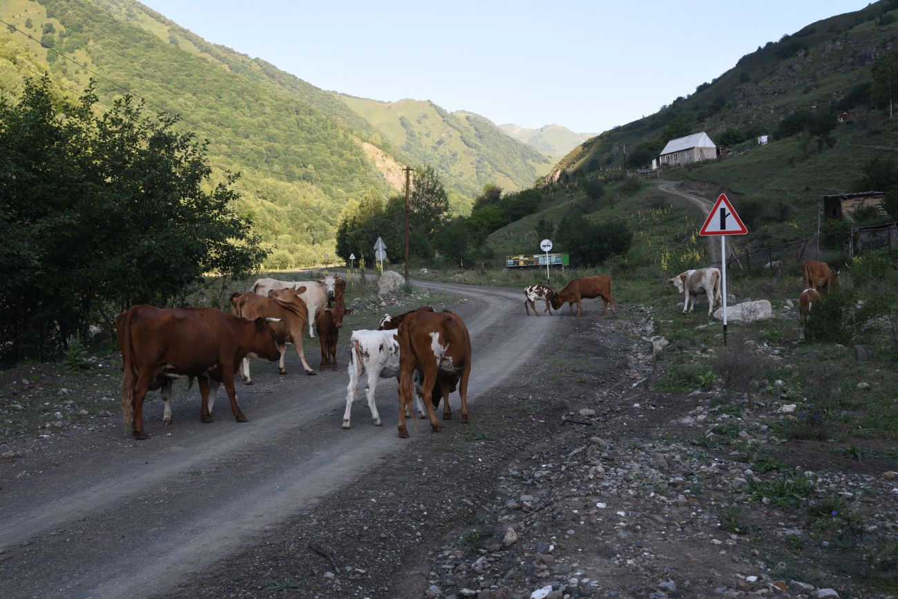 Нижнее течение Цесиахк, image of landscape/habitat.