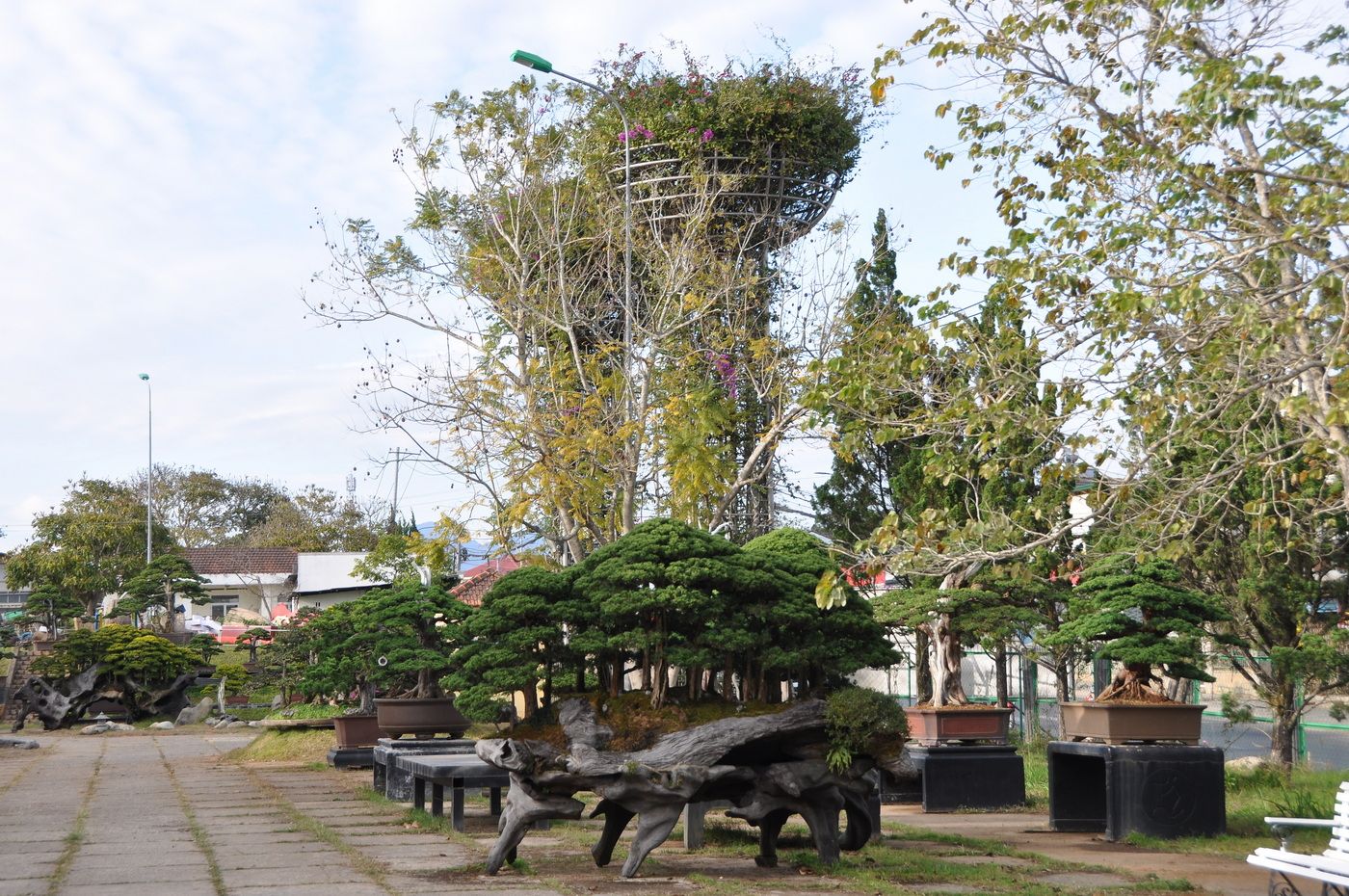 Далат, image of landscape/habitat.