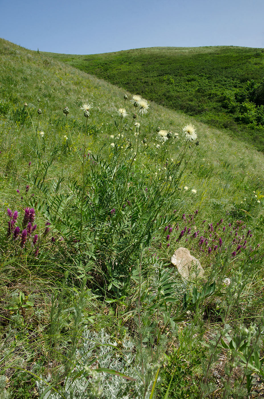 Султанбаево, image of landscape/habitat.