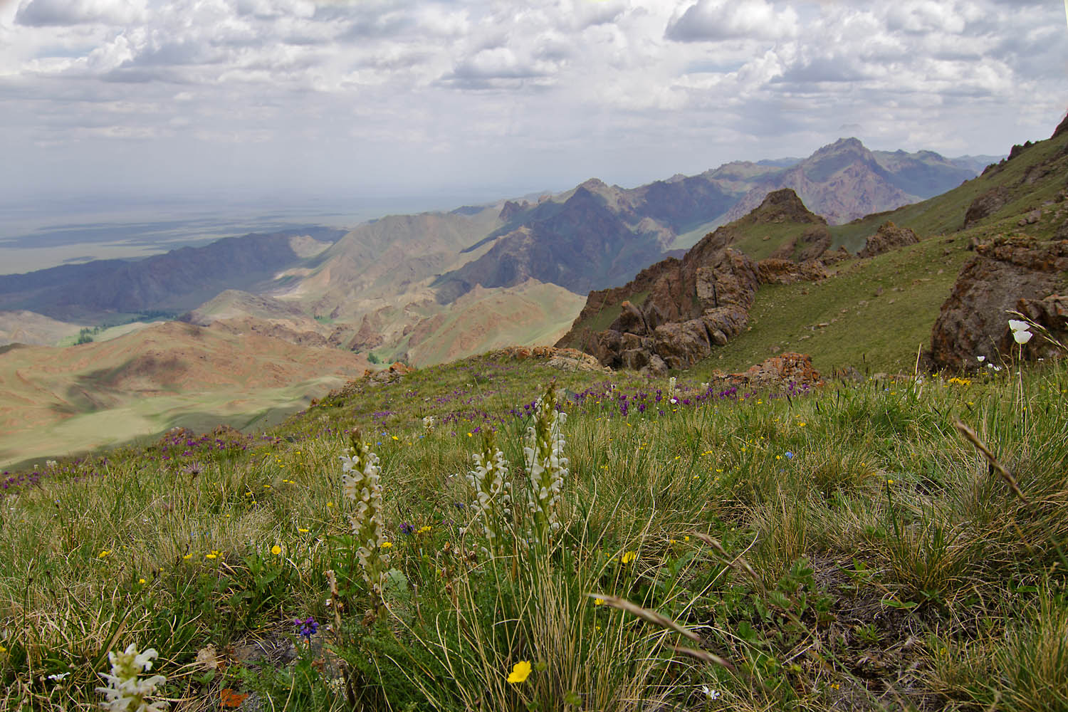 Байтаг-Богдо, image of landscape/habitat.