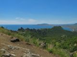 Image of landscape