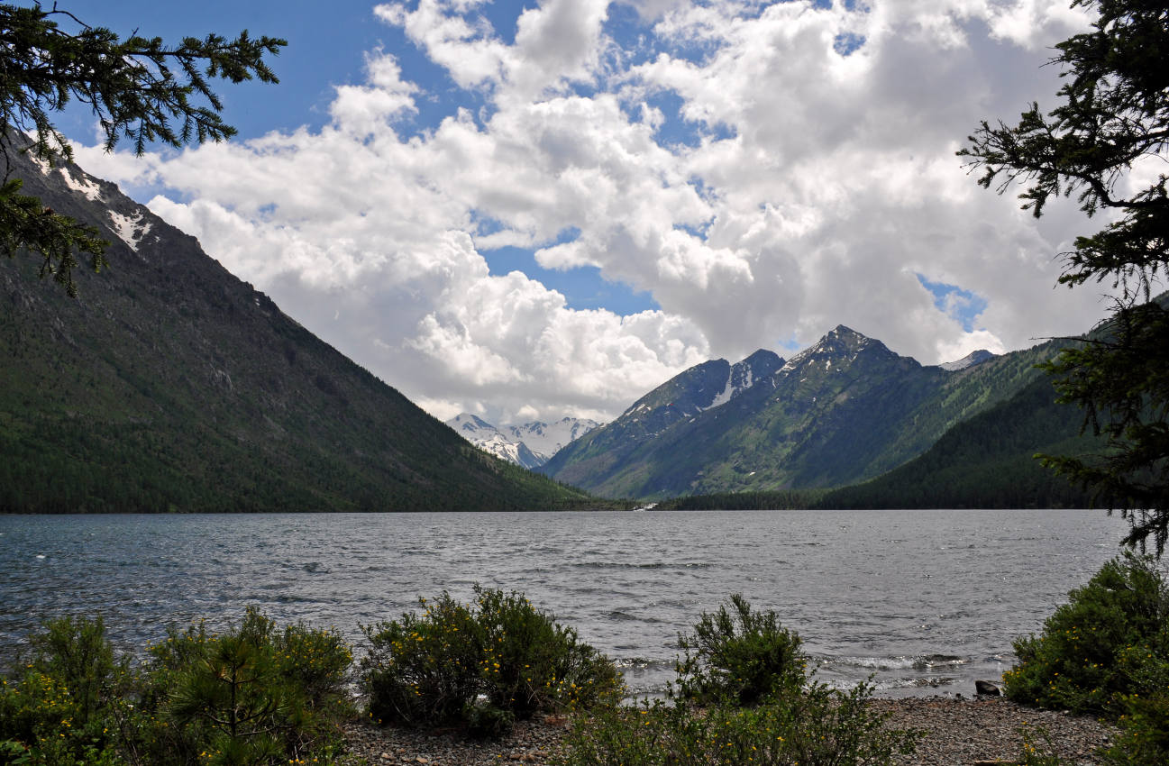 Нижнее Мультинское озеро, image of landscape/habitat.