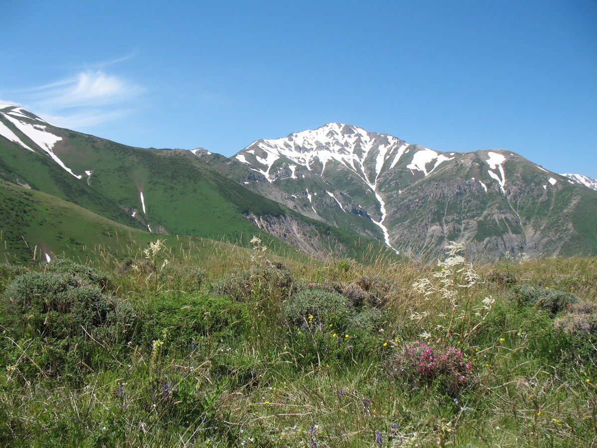 Бойдаксай, image of landscape/habitat.