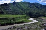 Калбак-таш, image of landscape/habitat.