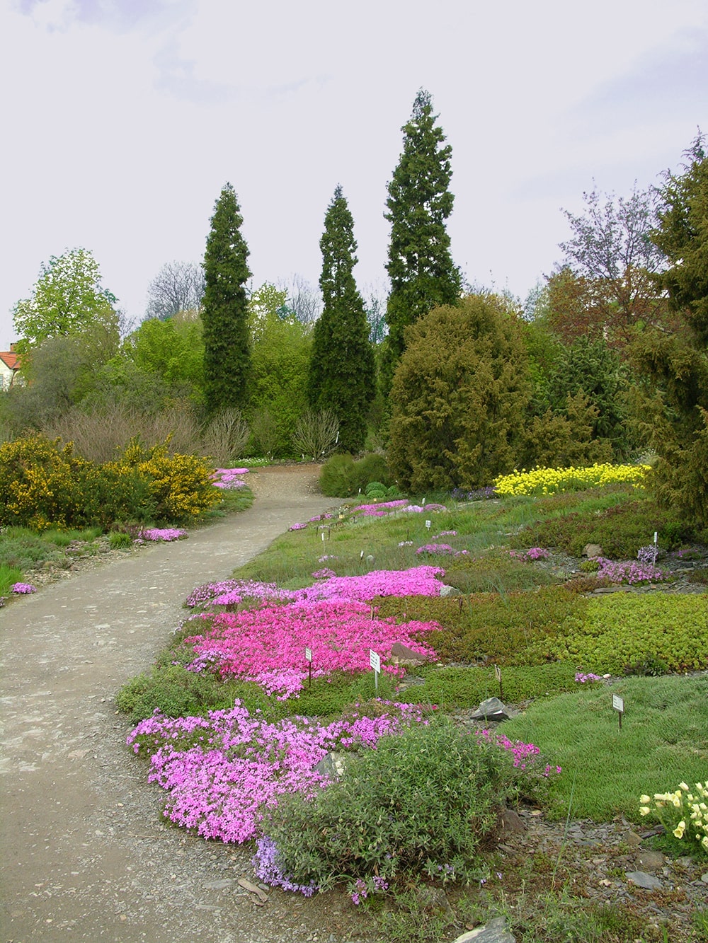 Ботанический сад в Трое, изображение ландшафта.