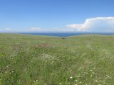 Image of landscape