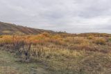 Image of landscape