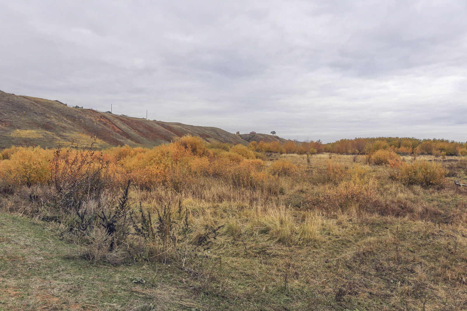 Окрестности села Красный Бор, image of landscape/habitat.