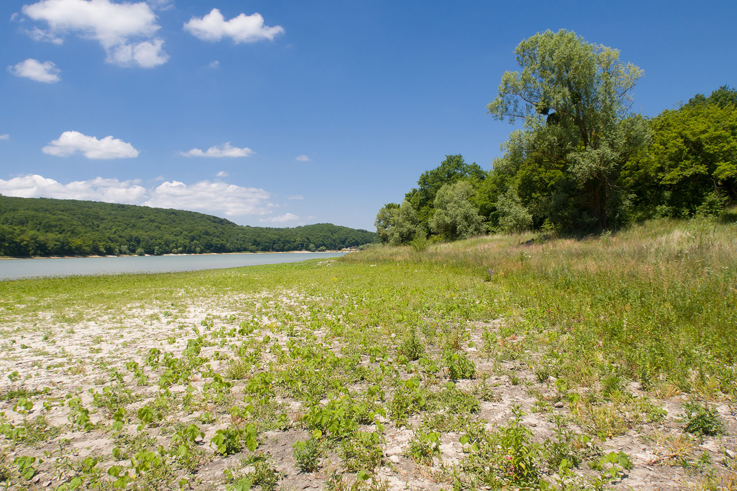 Красный Псебепс, image of landscape/habitat.