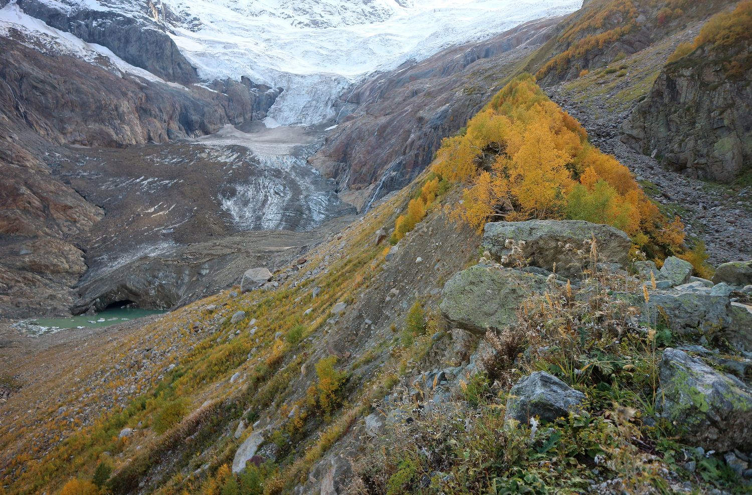 Алибек, image of landscape/habitat.