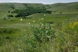 Image of landscape