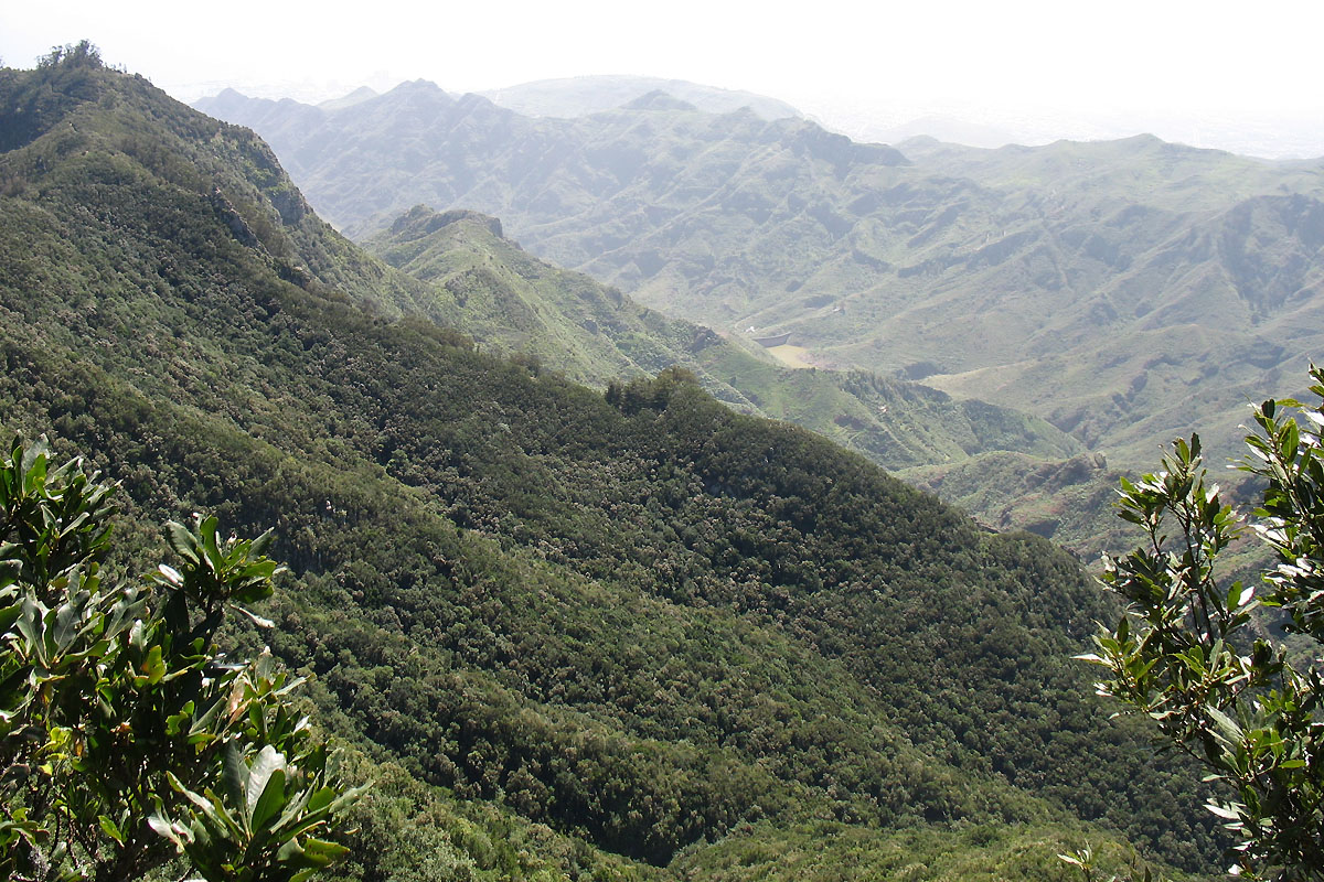 Ландшафтный парк Анага, image of landscape/habitat.