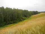 Image of landscape