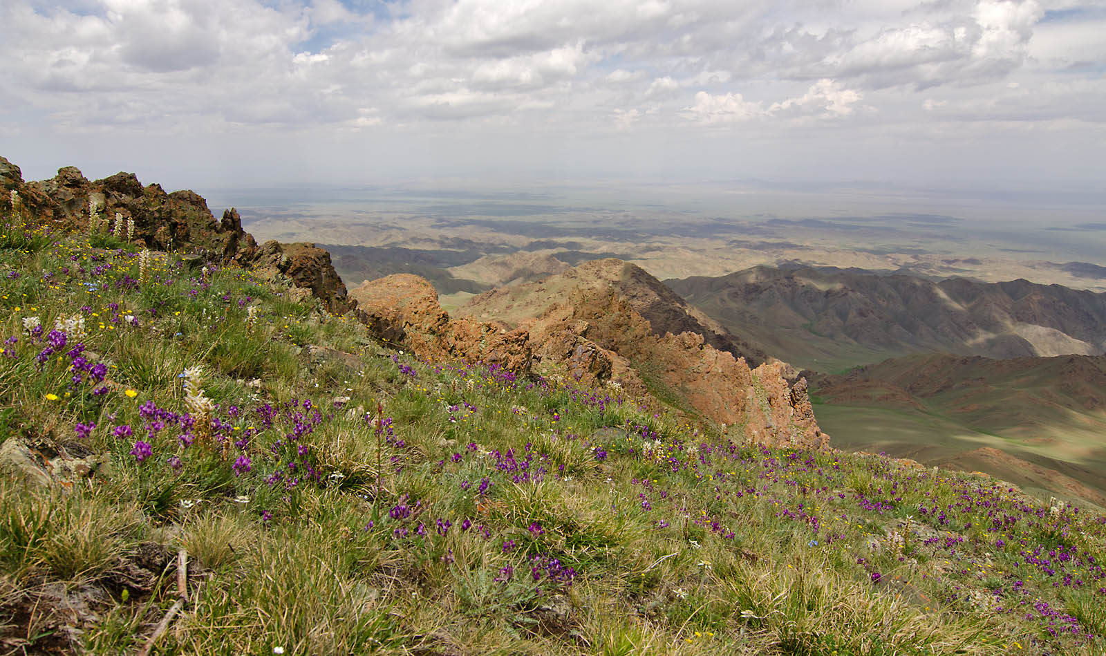 Байтаг-Богдо, image of landscape/habitat.