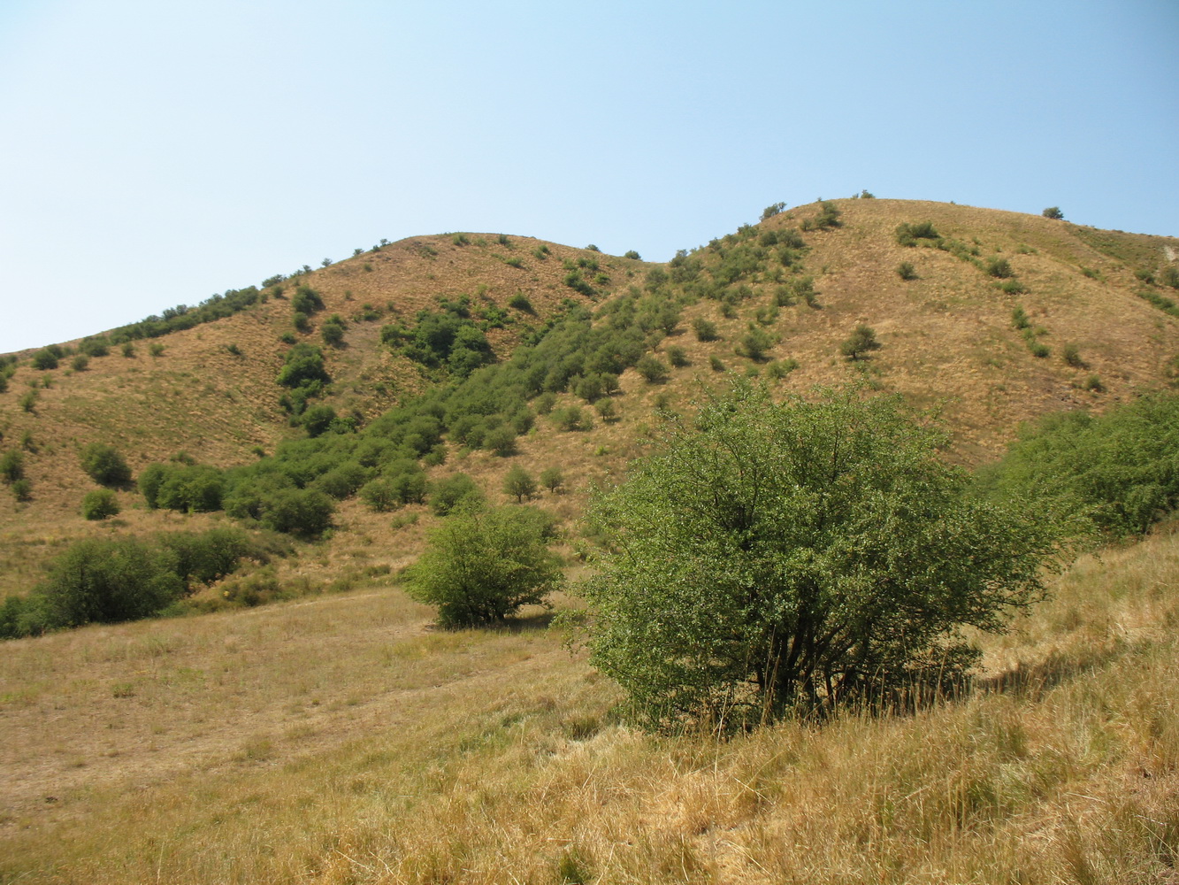 Уркумбайсай, image of landscape/habitat.