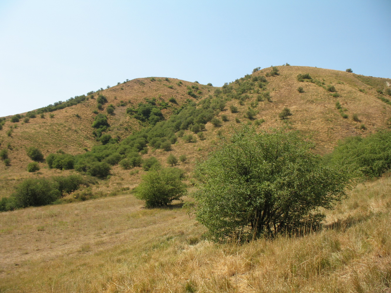 Уркумбайсай, изображение ландшафта.