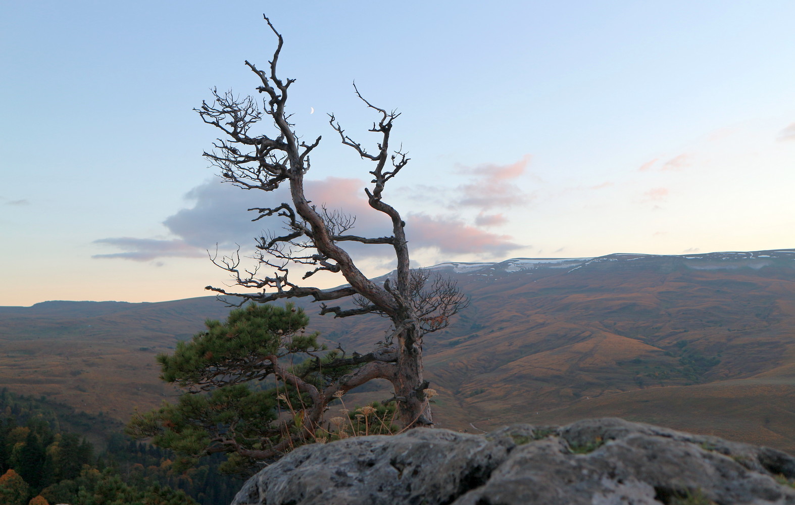 Окрестности Азишского перевала, image of landscape/habitat.