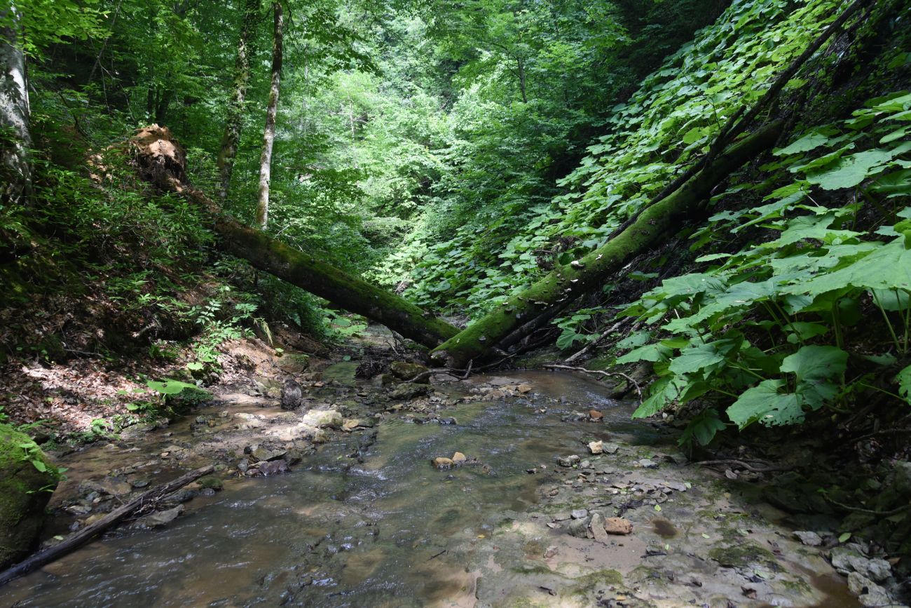 Водопад Аминовский, image of landscape/habitat.