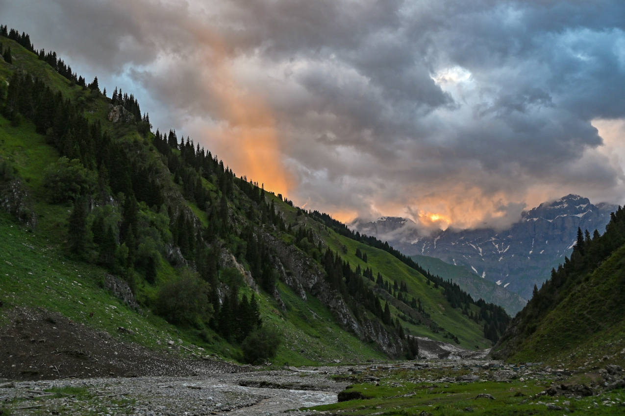 Долина реки Кара-Суу, image of landscape/habitat.