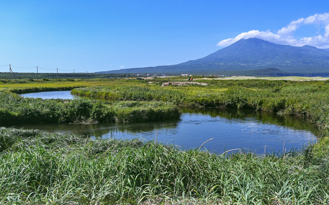 Долина реки Рейдовая, image of landscape/habitat.