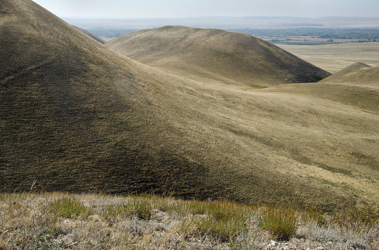 Долгие горы, image of landscape/habitat.