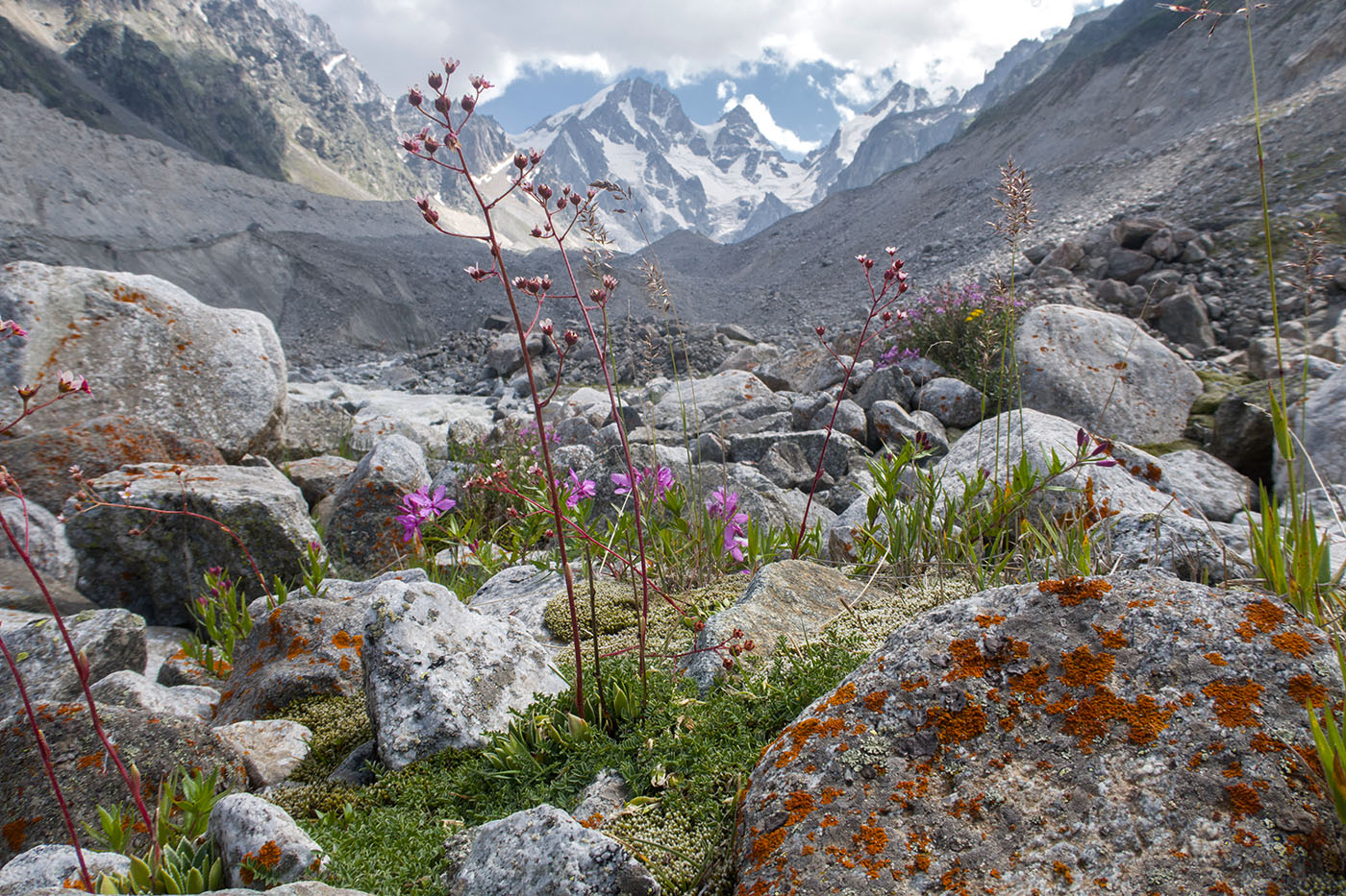 Ледник Нахашбита (Псыгансу), изображение ландшафта.