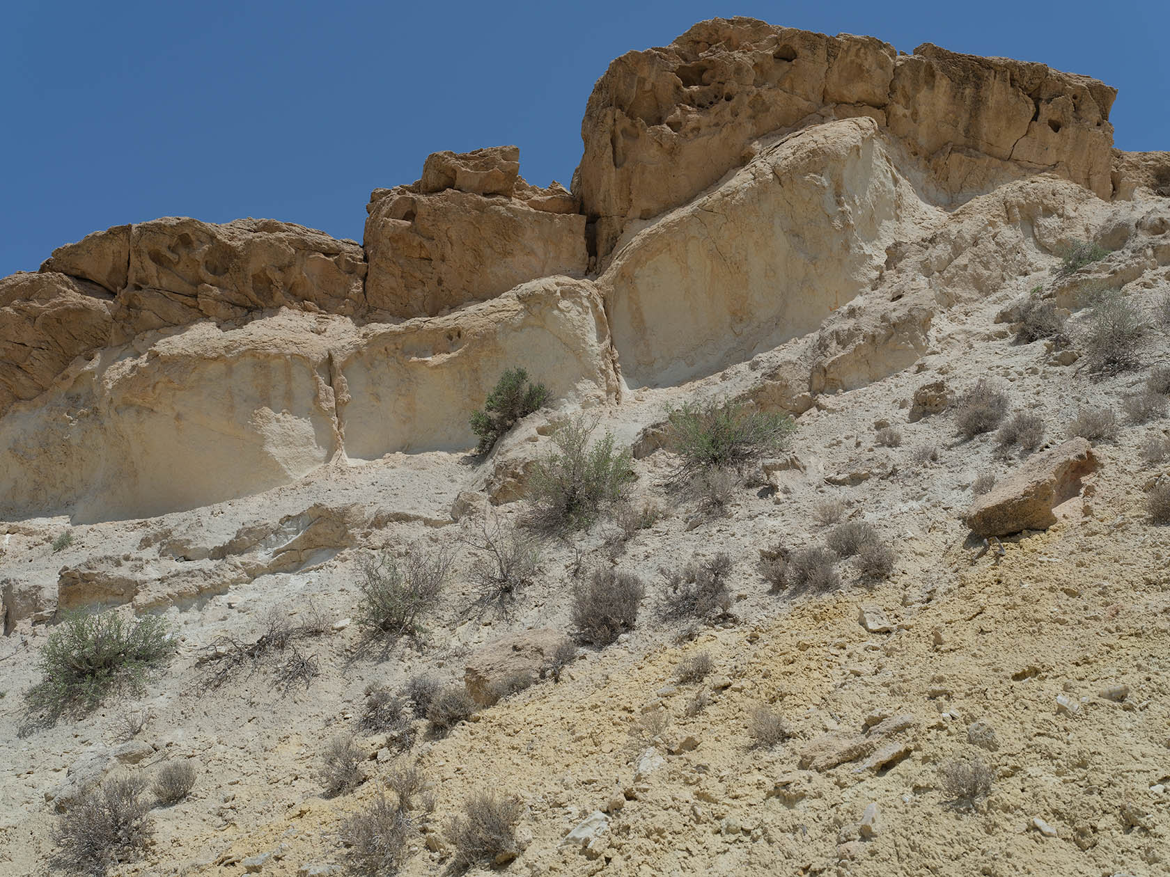 Мадыген, image of landscape/habitat.