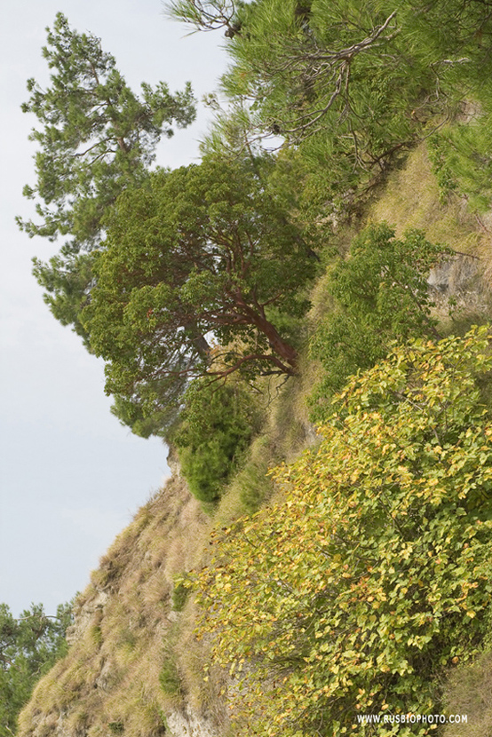 Мюссерские скалы, image of landscape/habitat.