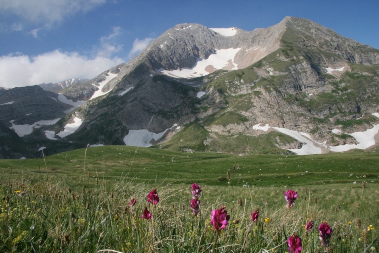 Лагонаки, image of landscape/habitat.