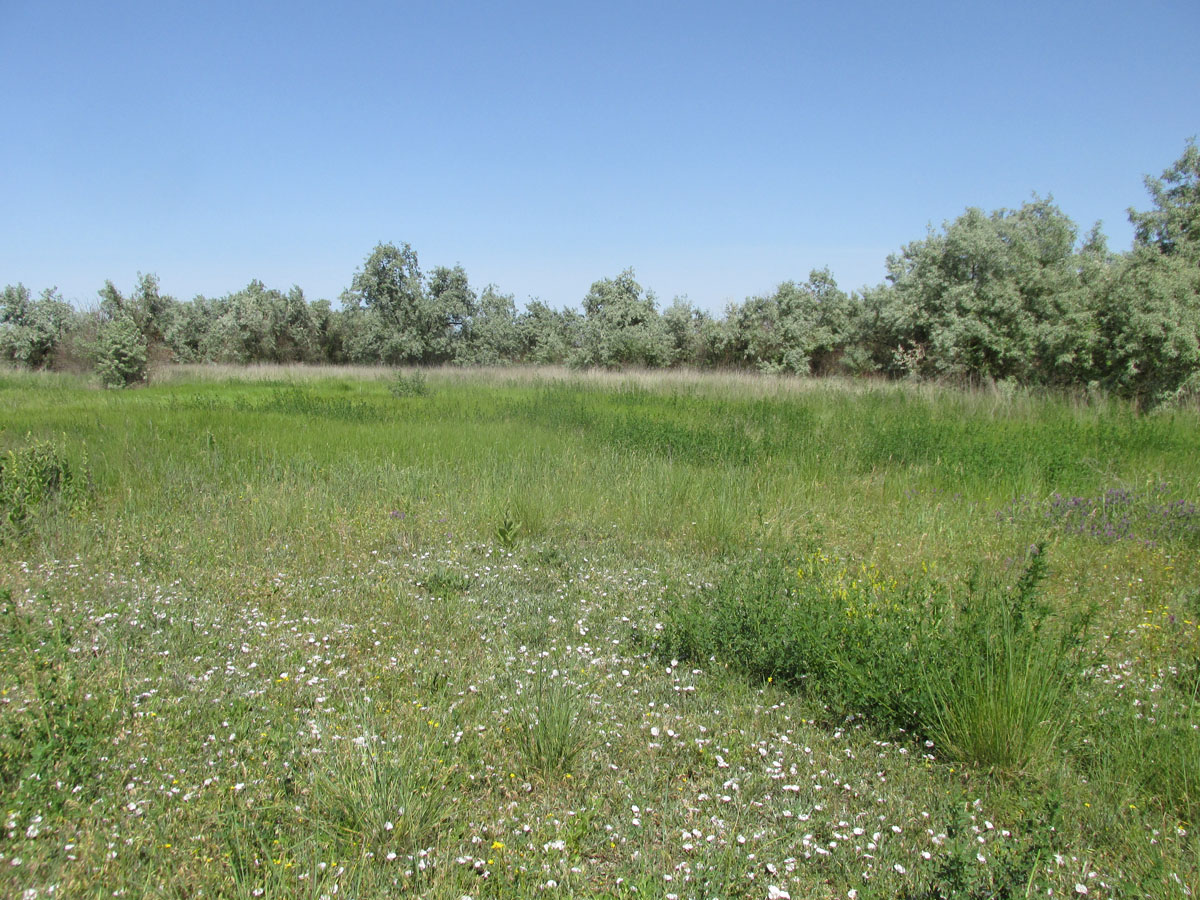 Озеро Айгульское, image of landscape/habitat.