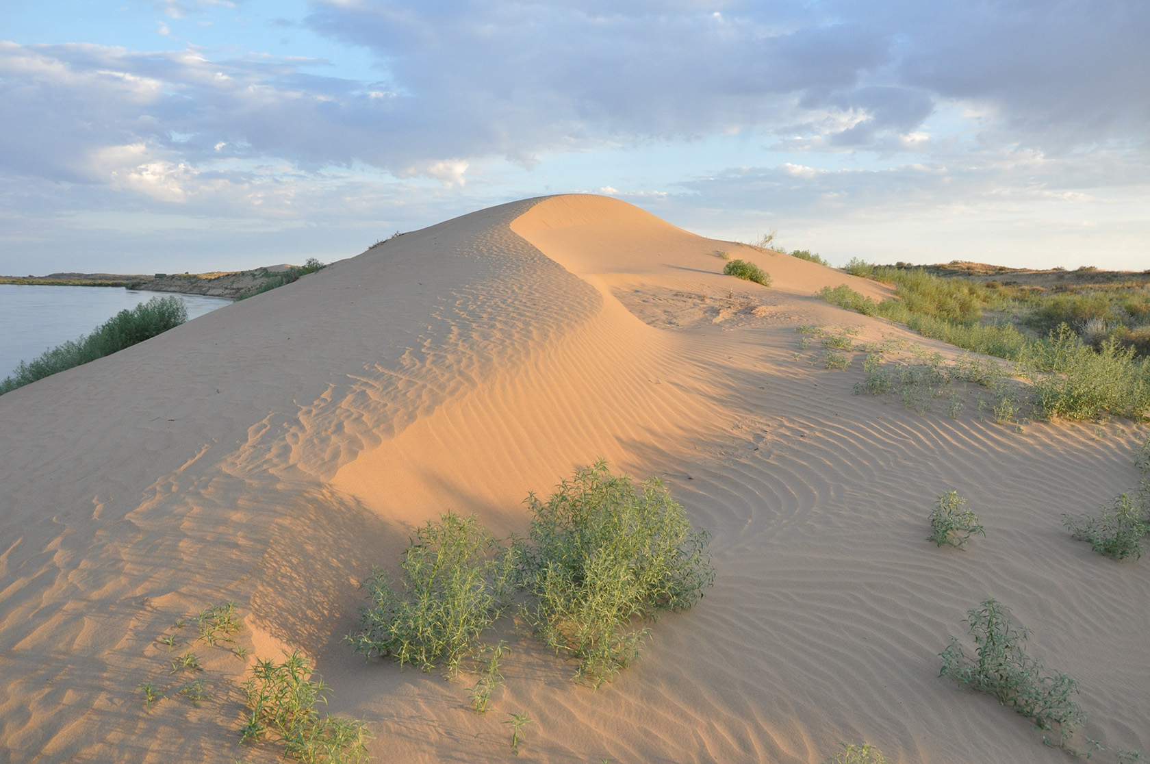 Узынтубек, image of landscape/habitat.