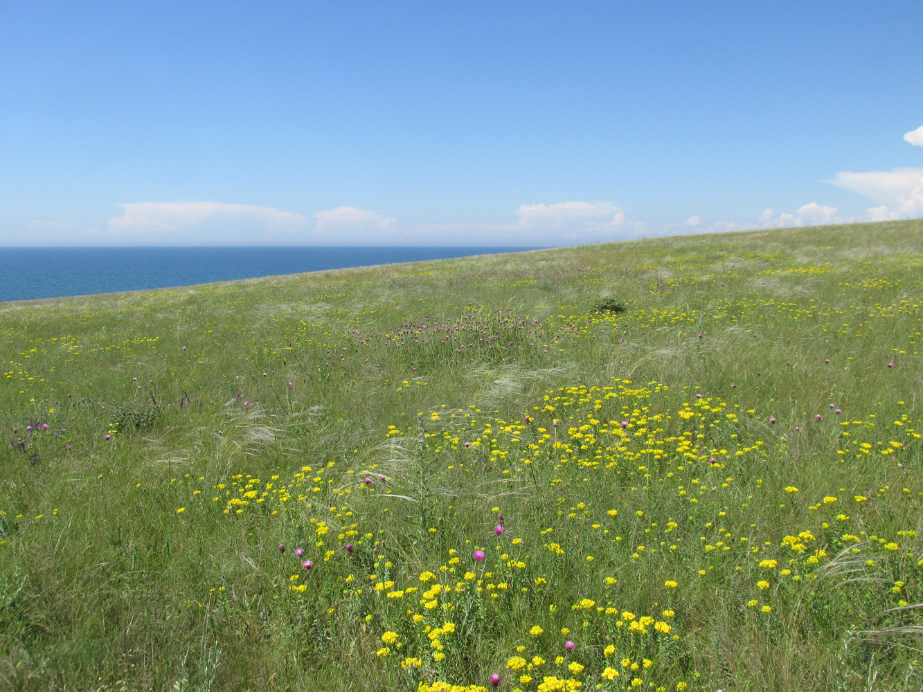 Кипчак, image of landscape/habitat.