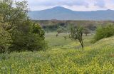 Долина реки Шураозень, image of landscape/habitat.
