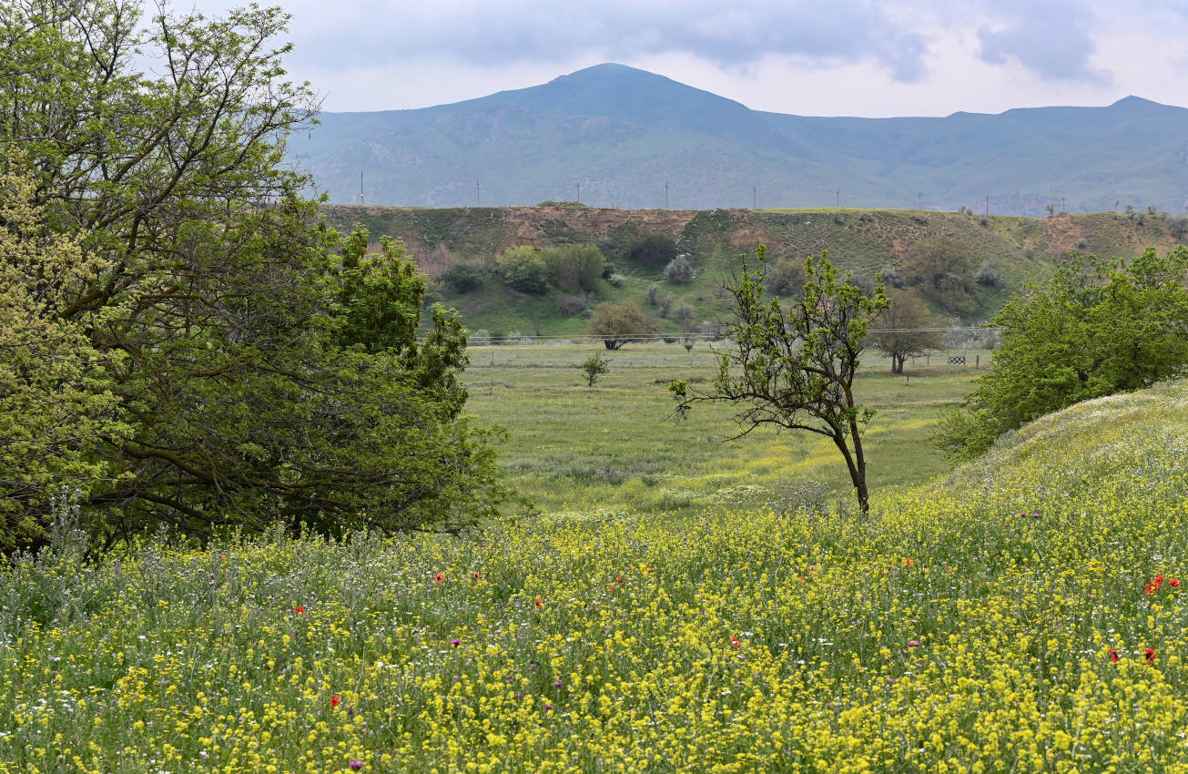 Долина реки Шураозень, изображение ландшафта.