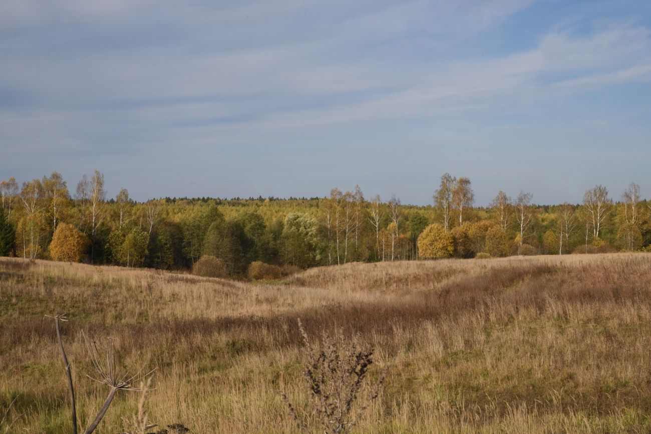 Окрестности деревни Брюхово, image of landscape/habitat.