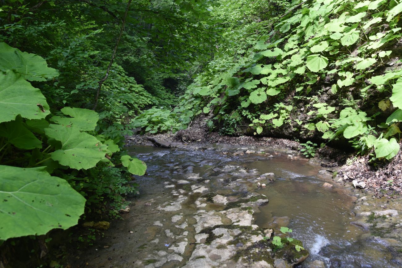 Водопад Аминовский, image of landscape/habitat.