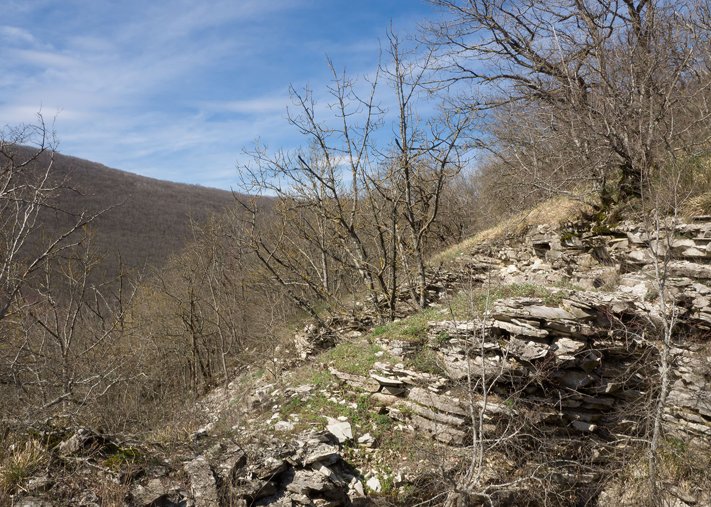 Гора Рябкова, image of landscape/habitat.
