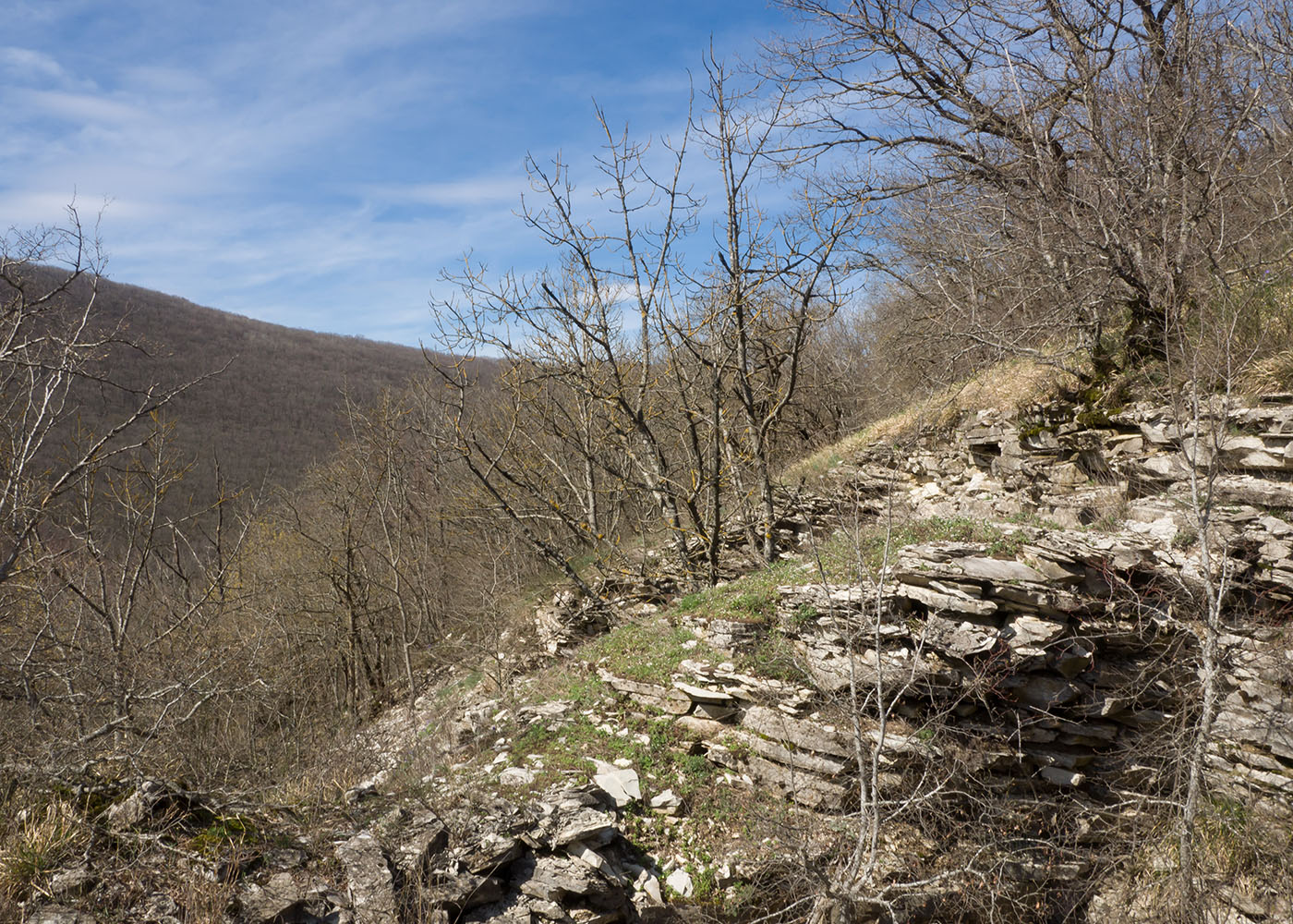 Гора Рябкова, изображение ландшафта.
