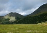 Ручей Двойной, image of landscape/habitat.