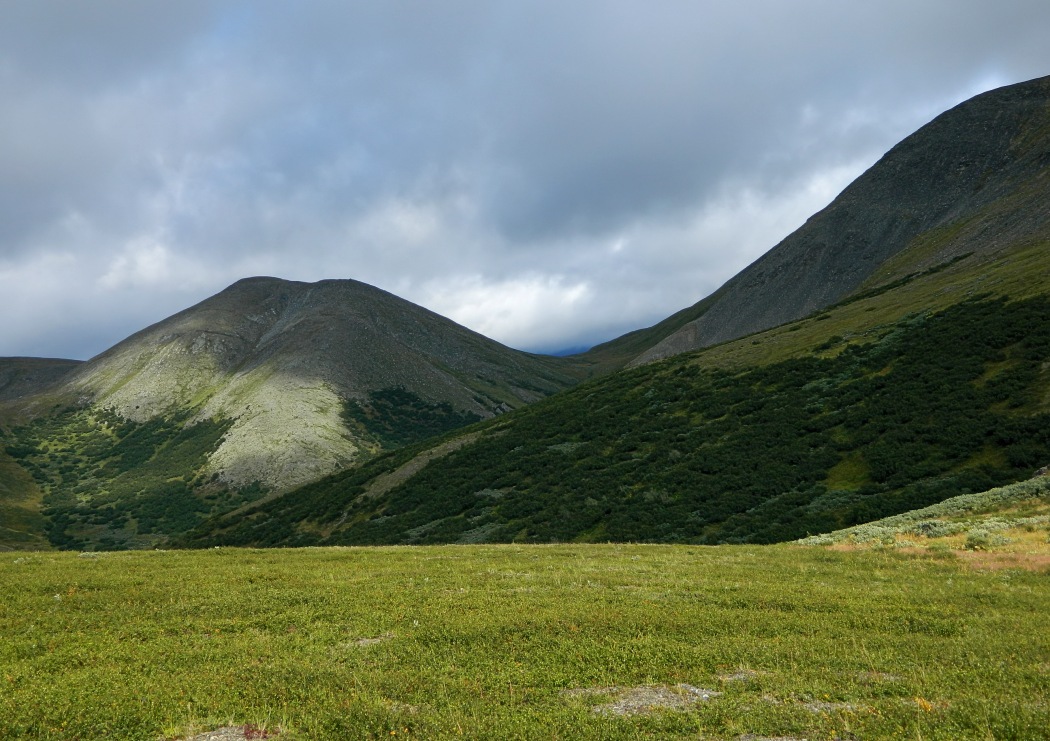 Ручей Двойной, image of landscape/habitat.