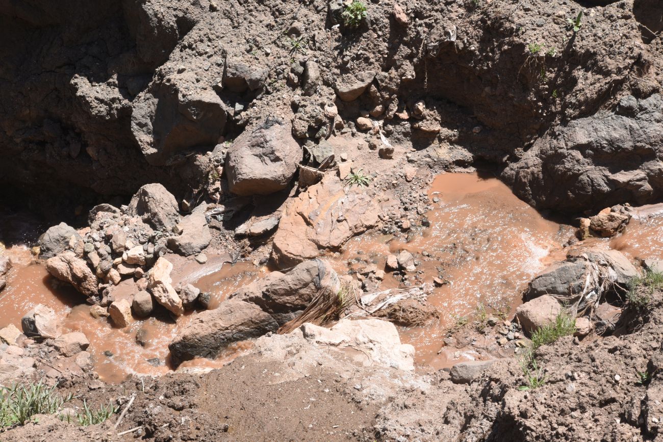 Урочище Ноев Ковчег, image of landscape/habitat.