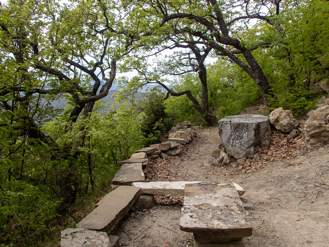 Хребет Токлук-Сырт, image of landscape/habitat.