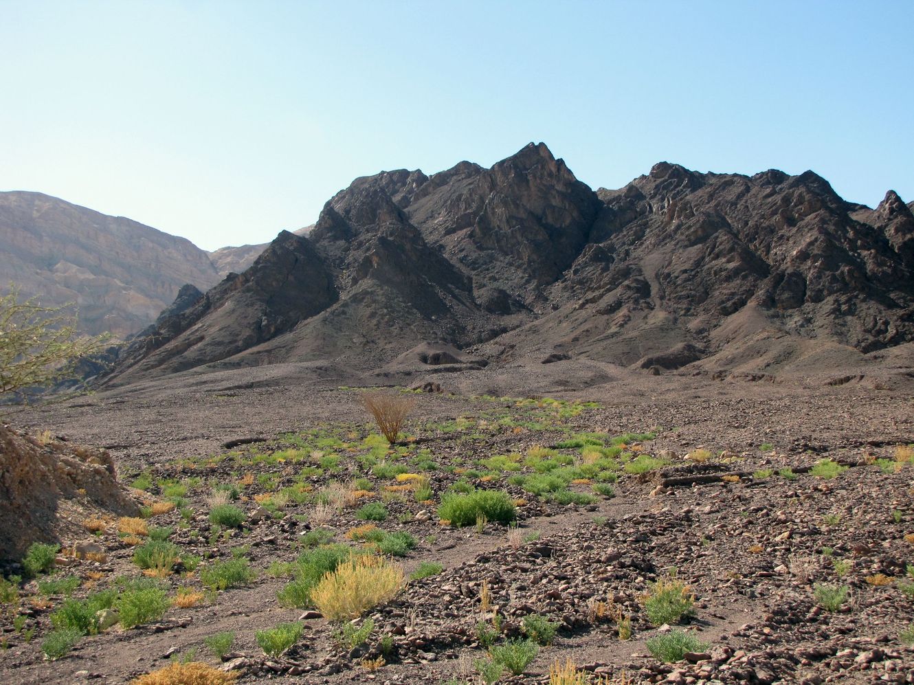 Эйлатские горы, image of landscape/habitat.