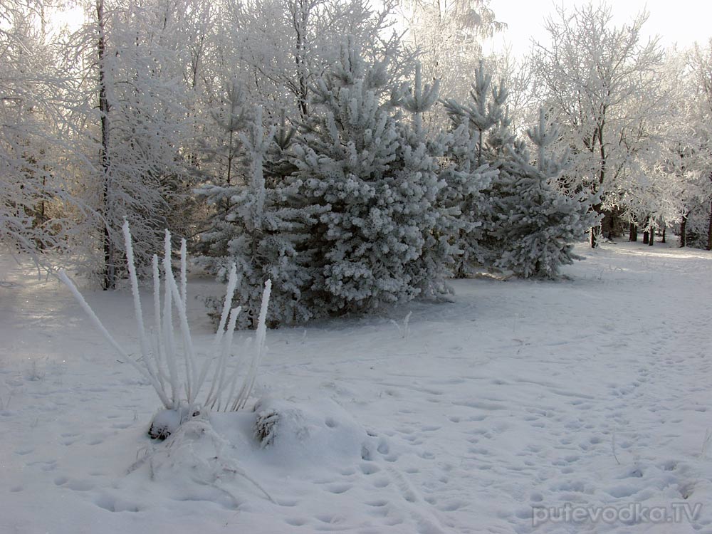 Дубна, image of landscape/habitat.