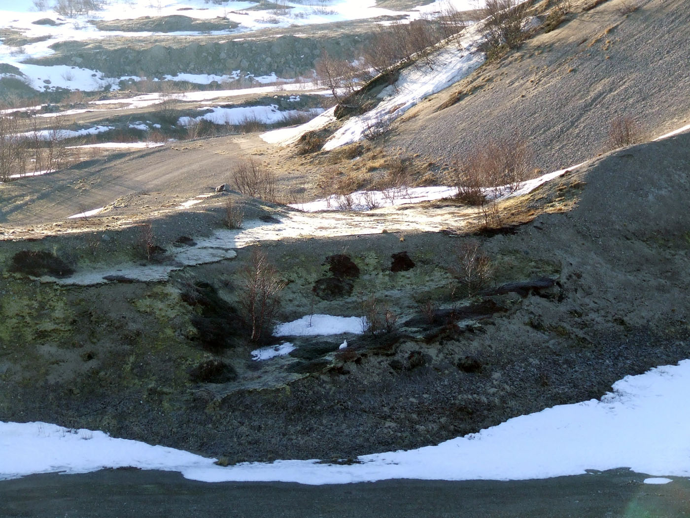 Туманный, image of landscape/habitat.