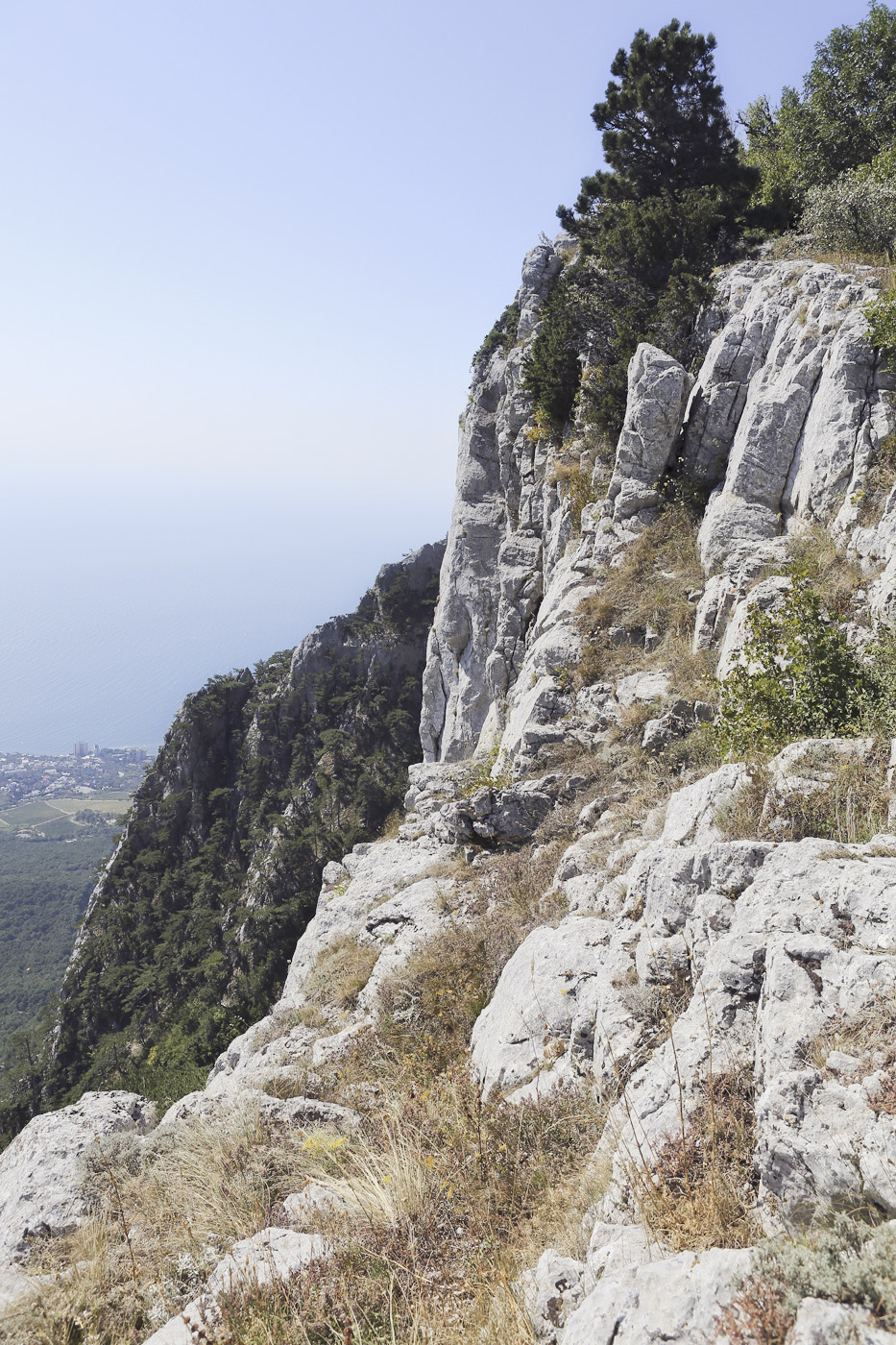 Ай-Петринская яйла, image of landscape/habitat.