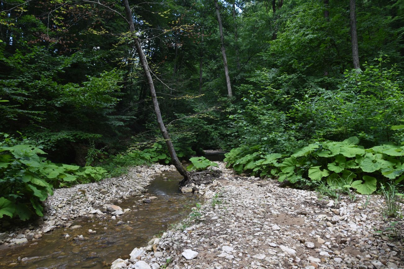 Долина реки Аминовка, image of landscape/habitat.