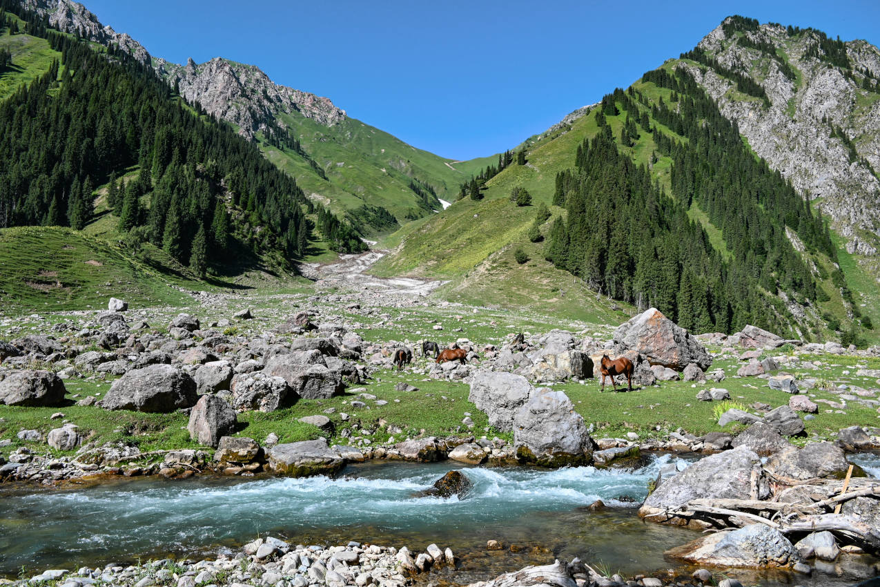 Долина реки Кара-Суу, image of landscape/habitat.