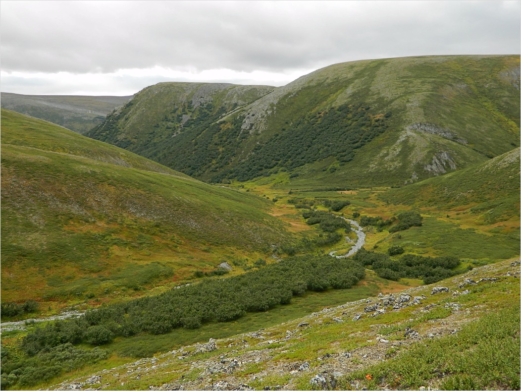 Ручей Двойной, image of landscape/habitat.